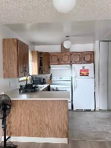 Spacious Bright 2 Bdrm - Photo 4