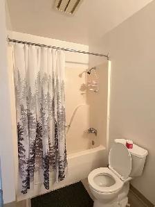 Spacious Bright 2 Bdrm - Photo 6