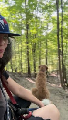 Dog Walker/Pet Sitter