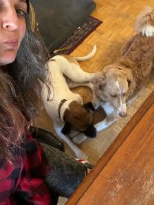 Dog Walker/Pet Sitter - Photo 6