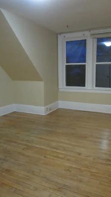 South End Large Sunny 3 Bedroom Flat - Photo 7