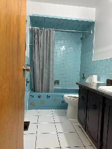 3 Bedroom House for Rent in Malton, Mississauga - Photo 7