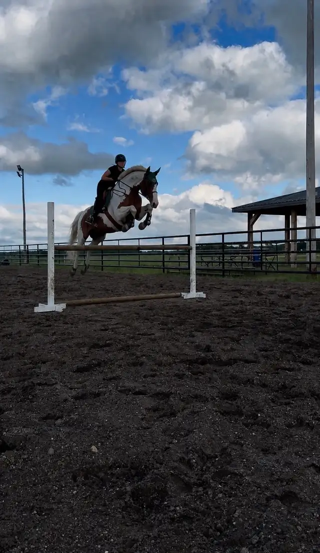 sport cross for a new home