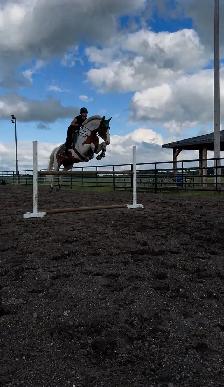 sport cross for a new home