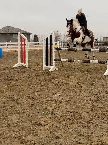 sport cross for a new home - Photo 6
