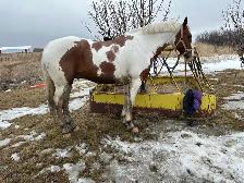 sport cross for a new home - Photo 7