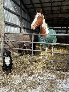 sport cross for a new home - Photo 8