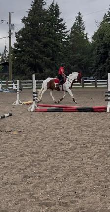 sport cross for a new home - Photo 9
