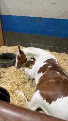 sport cross for a new home - Photo 10