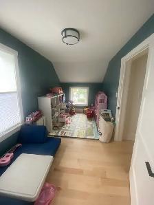 PROFESSIONAL PAINTER - Photo 3
