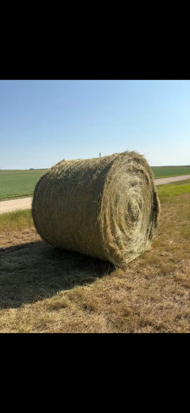 Round Hay Bales