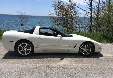 2002 Corvette - Photo 2