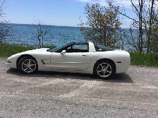 2002 Corvette - Photo 4