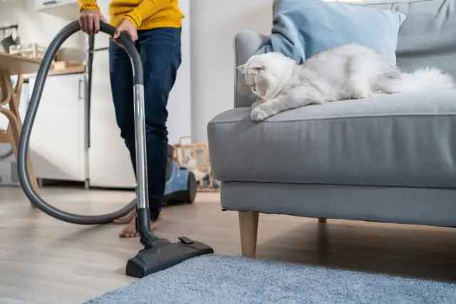 House Cleaning Subcontractors Needed