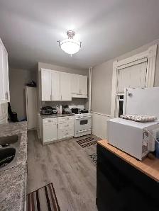 Furnished Unit-Central Sarnia-Avail. October 1st-$1800 - Photo 3