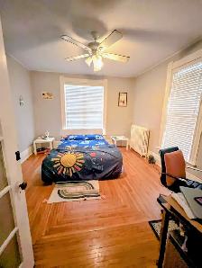 Furnished Unit-Central Sarnia-Avail. October 1st-$1800 - Photo 5