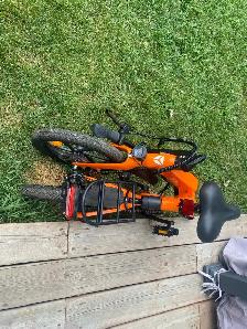 Ebike (foldable) - Photo 5