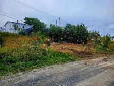 Land For Sale - Photo 4