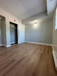 New 2 Bedroom 2 Bathroom Available Now & September Minnow Lake - Photo 5
