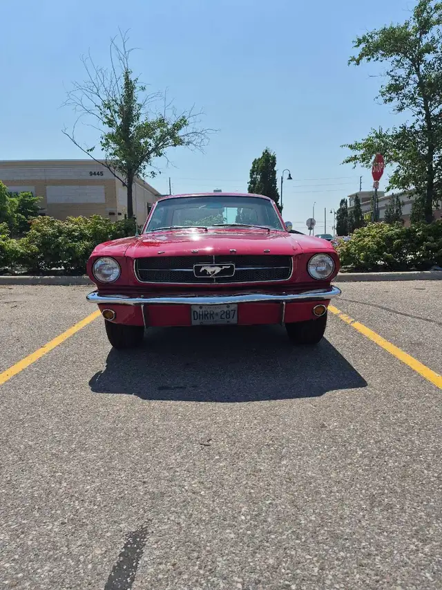 1965 Mustang Coup American Muscle Icon