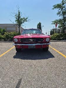 1965 Mustang Coup American Muscle Icon