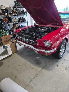 1965 Mustang Coup American Muscle Icon - Photo 10