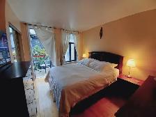 BELLE GRANDE CHAMBRE MEUBLÉE À LOUER - CENTRE VILLE / PLATEAU