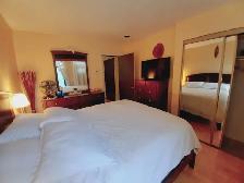 BELLE GRANDE CHAMBRE MEUBLÉE À LOUER - CENTRE VILLE / PLATEAU - Photo 2