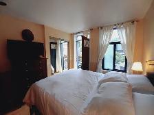 BELLE GRANDE CHAMBRE MEUBLÉE À LOUER - CENTRE VILLE / PLATEAU - Photo 3
