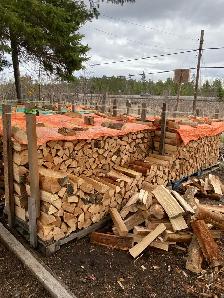 cords of dry maple $180.00