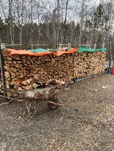cords of dry maple $180.00 - Photo 2