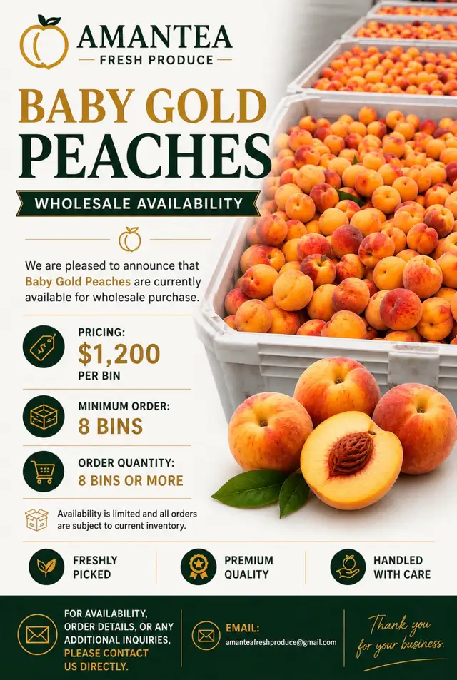 BABY GOLD PEACHES WHOLESALE