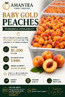 BABY GOLD PEACHES WHOLESALE