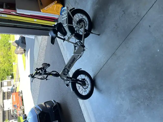 Electric bike