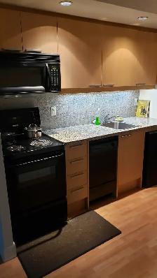 Condo Studio Fully Furnished Long or Short Term Yongr & Sheppard - Photo 3