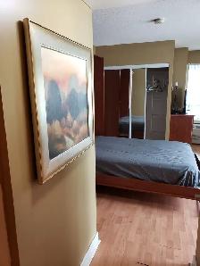Condo Studio Fully Furnished Long or Short Term Yongr & Sheppard - Photo 5