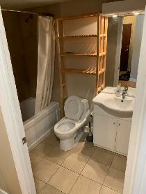 Condo Studio Fully Furnished Long or Short Term Yongr & Sheppard - Photo 9