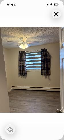 1 bedroom one bath fully renovated Westmount area - Photo 9
