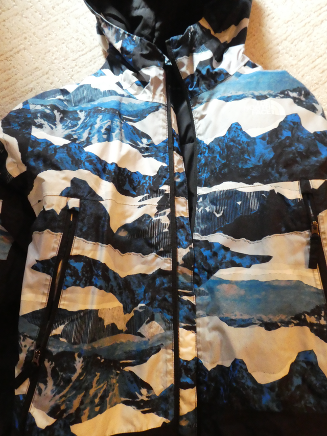 Kids North Face Winter Coats (size 14 boys/ size 8 girls)