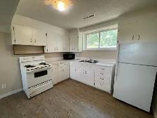 2 Bed Bsmt Suite in Montgomery for Rent - Photo 2
