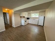 2 Bed Bsmt Suite in Montgomery for Rent - Photo 4
