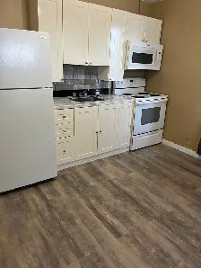 Main floor small one bedroom suite - Photo 2