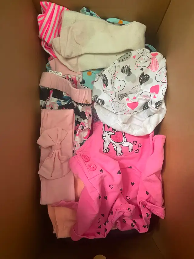 Baby Girls Clothing Bundle