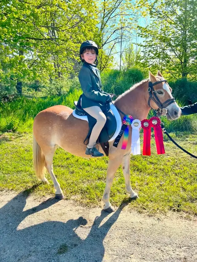 Kids horse/pony