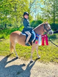 Kids horse/pony