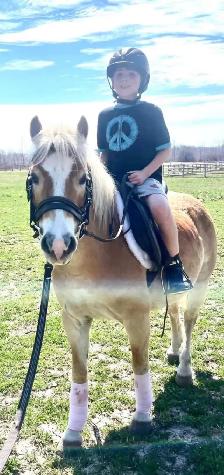 Kids horse/pony - Photo 2