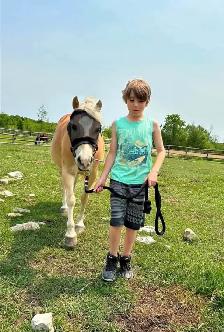 Kids horse/pony - Photo 3