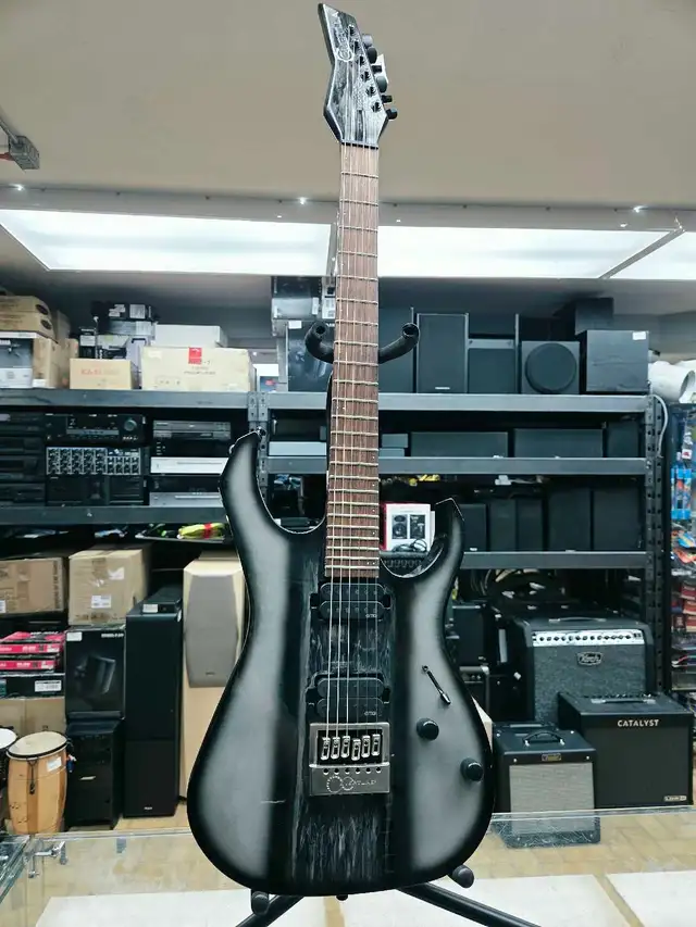 Guitare guérilla custom   case