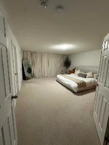 4 Bed   Den and 3.5 Bathrooms - Photo 12