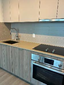 BRAND NEW NEVER-LIVED-IN 3 BEDROOM CONDO FOR RENT - Photo 3